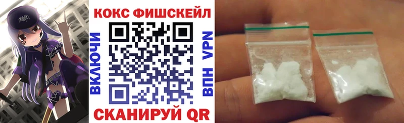 Кокаин FishScale  Купить закладки  Бавлы 