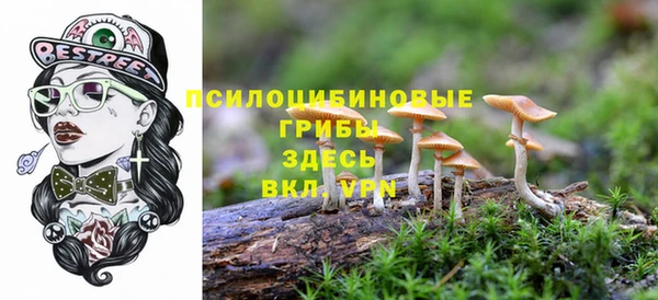 бутират Арсеньев