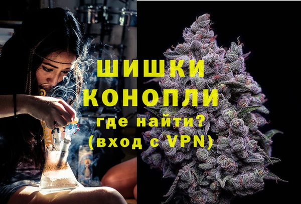 ешки Алзамай