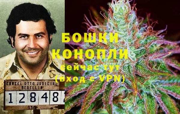 ешки Алзамай
