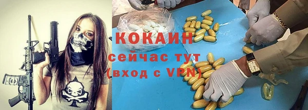 ешки Алзамай