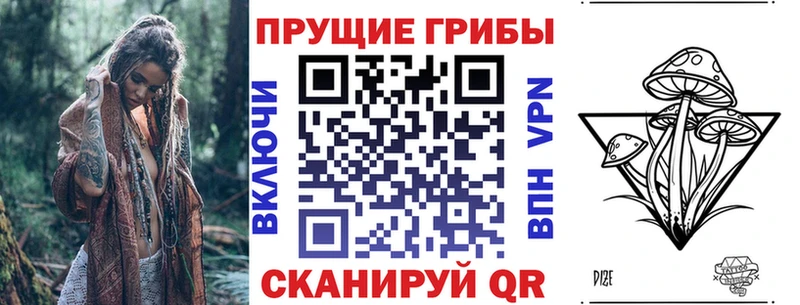 Галлюциногенные грибы Cubensis  Купить закладки  Бавлы 